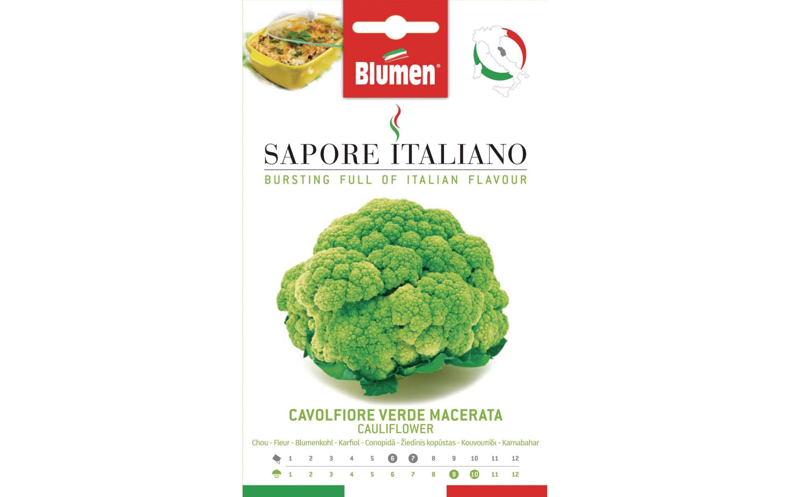 Blumen Blumenkohl Verde Macerata 1.5 g
