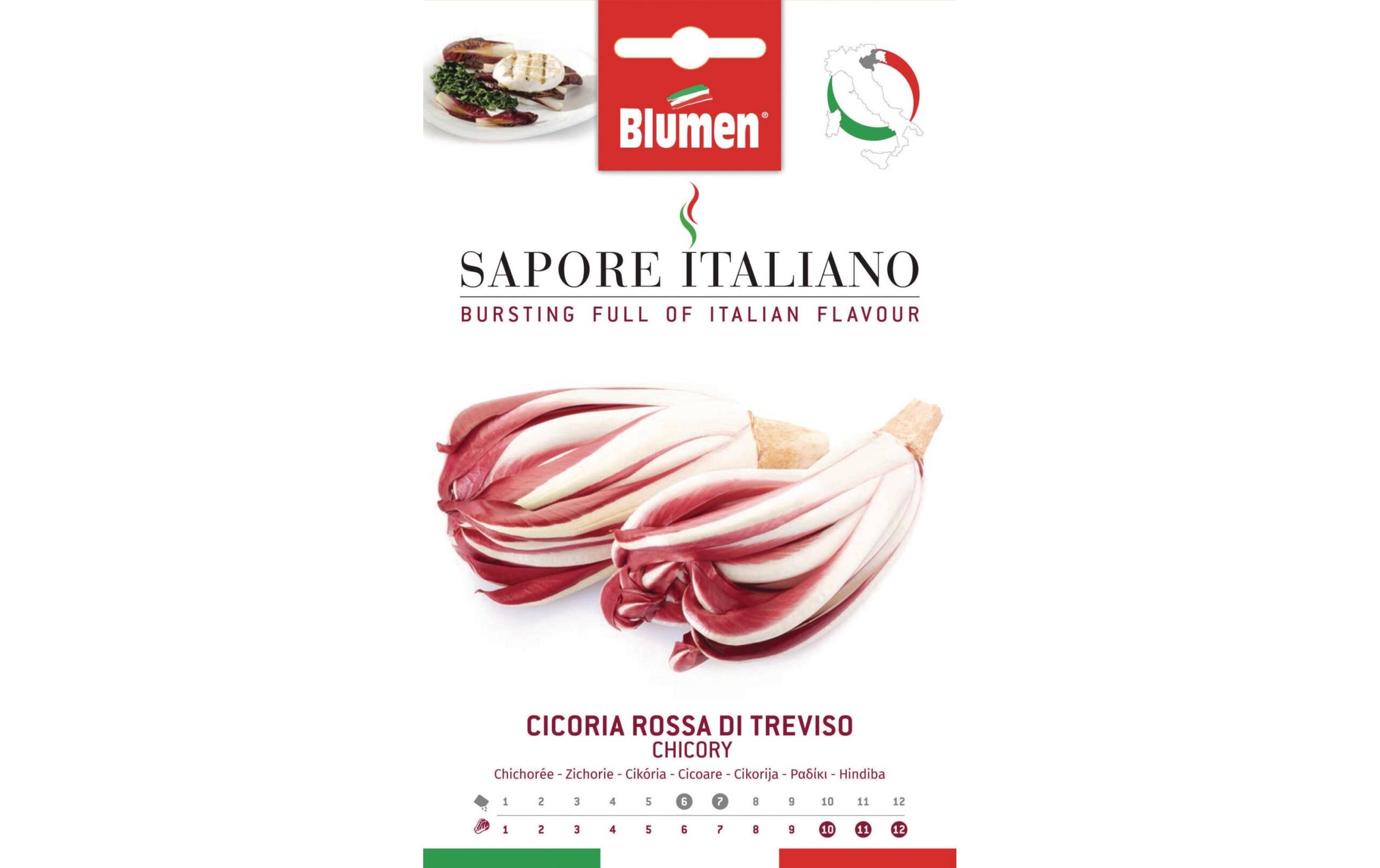 Blumen Zichorie Rossa di Treviso 13 g