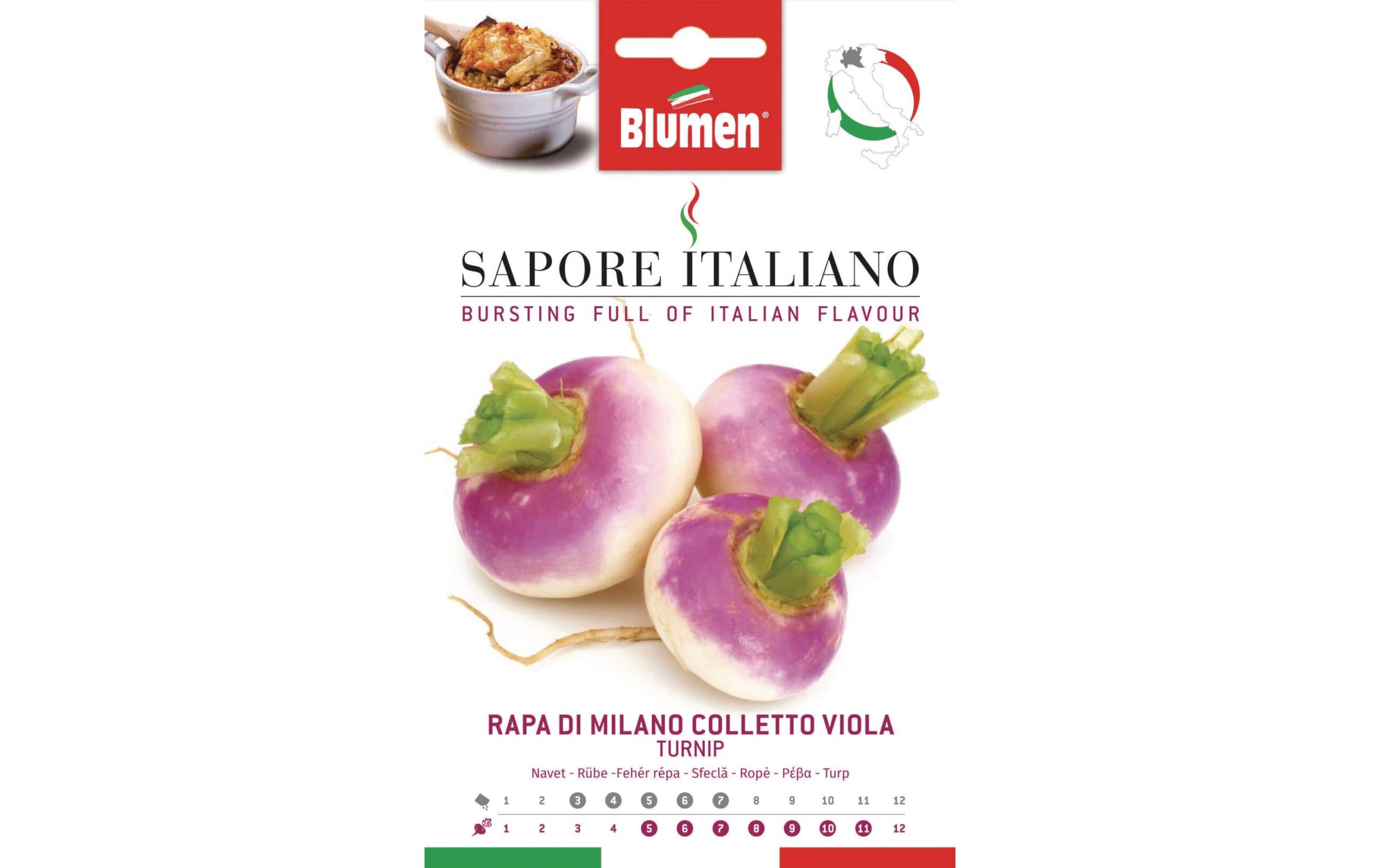 Blumen Rübe di Milano Colletto Viola 14 g
