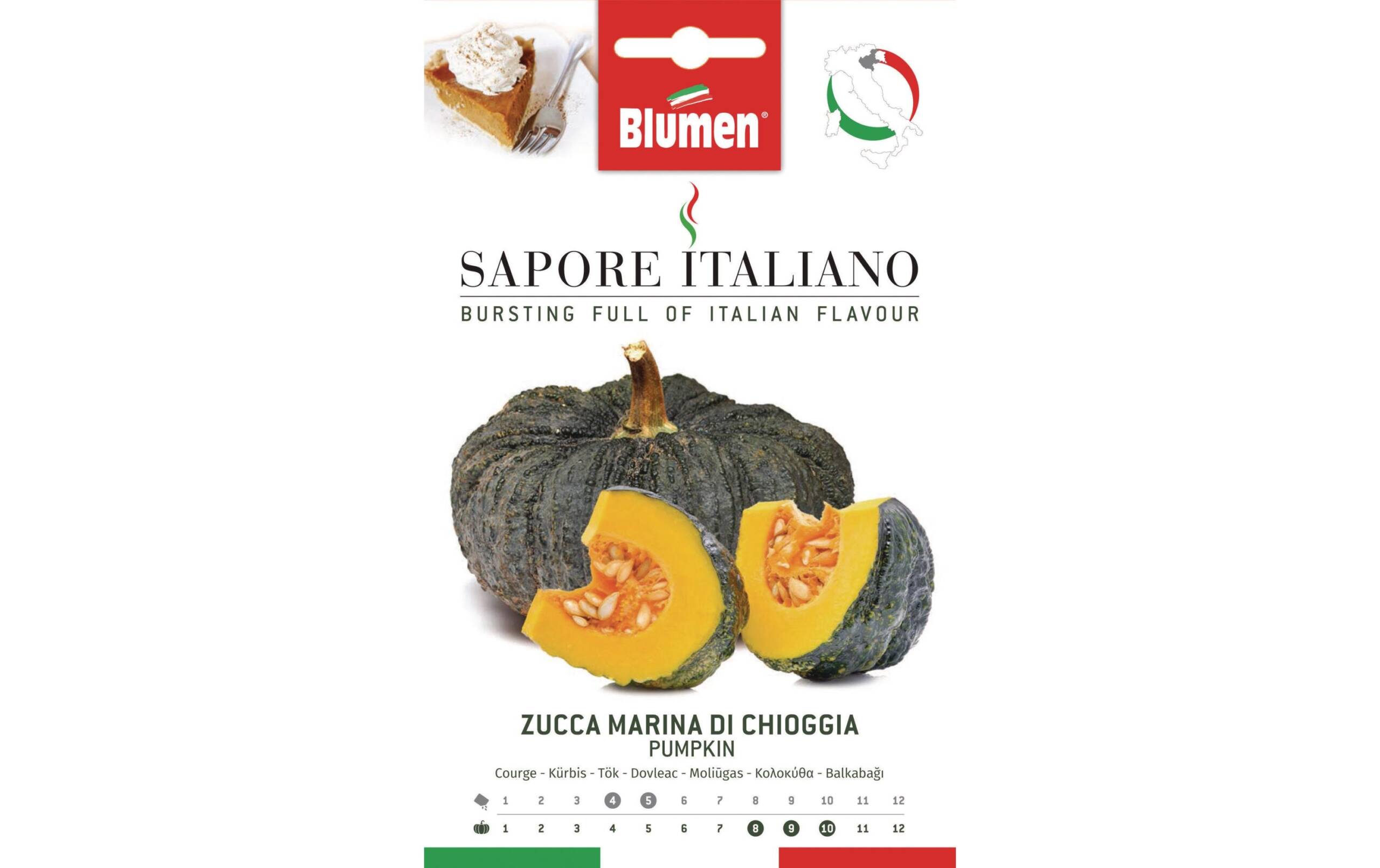 Blumen Kürbis Marina di Chioggia 4 g