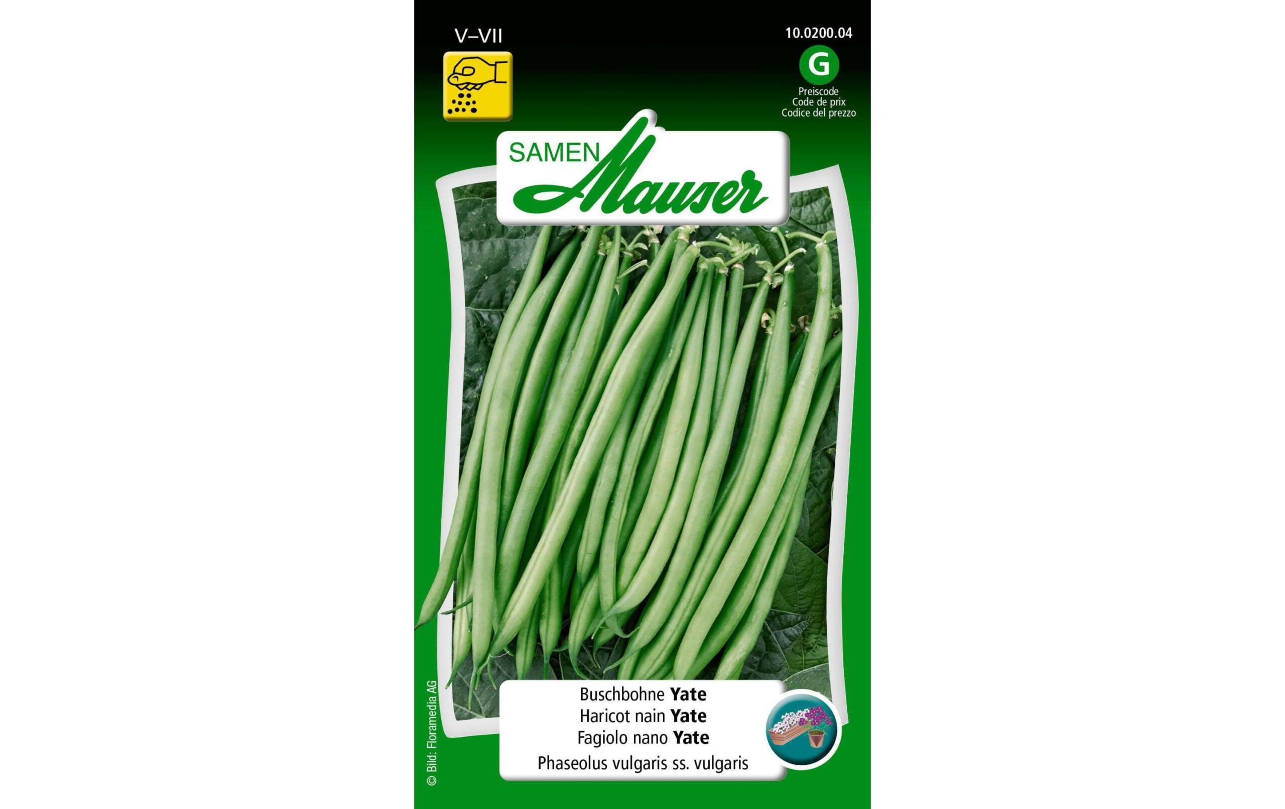 Samen Mauser Buschbohne Yate 80 g Phaseolus vulgaris ss. vulgaris