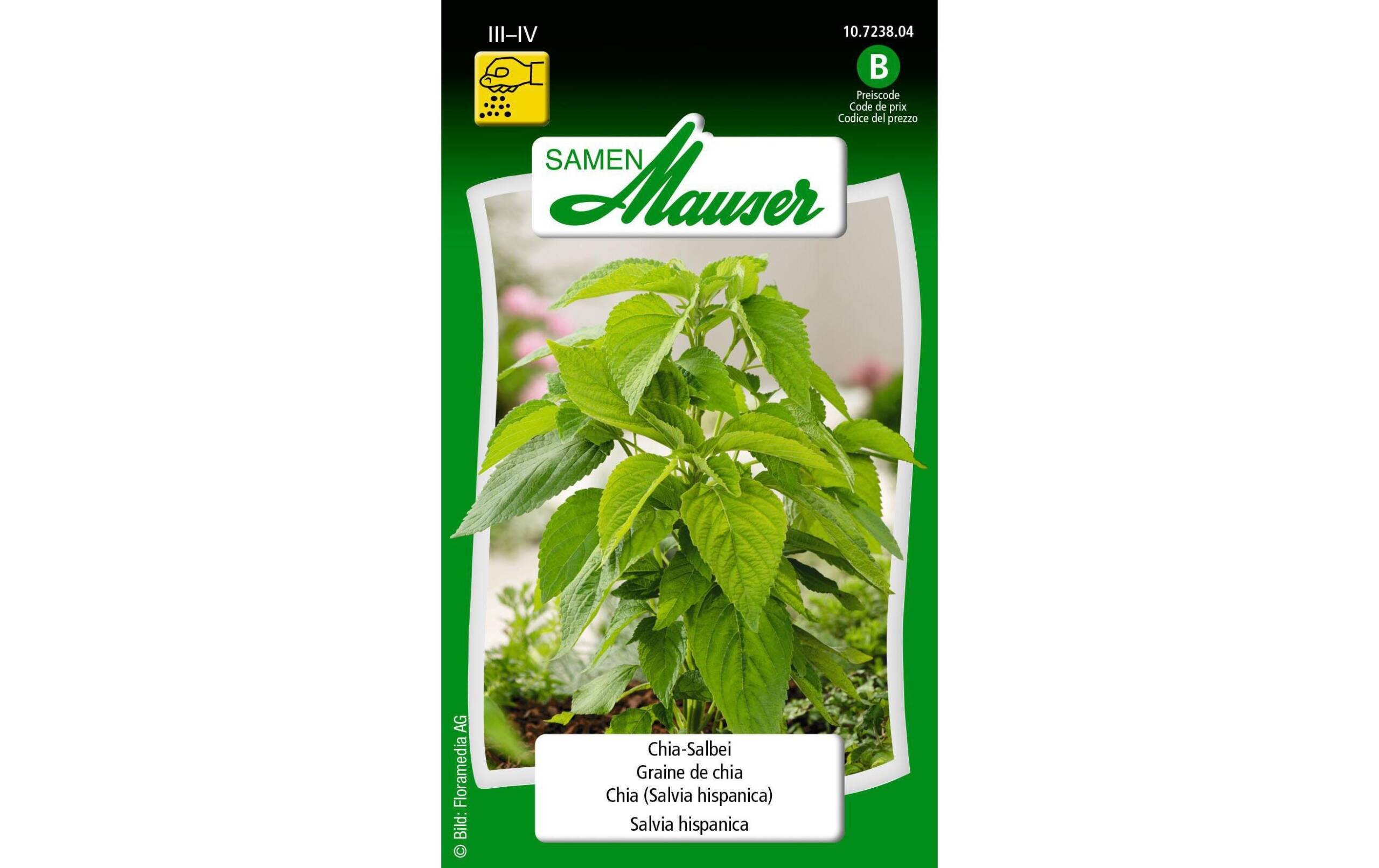 Samen Mauser Chia-Salbei 1 g Salvia hispanica