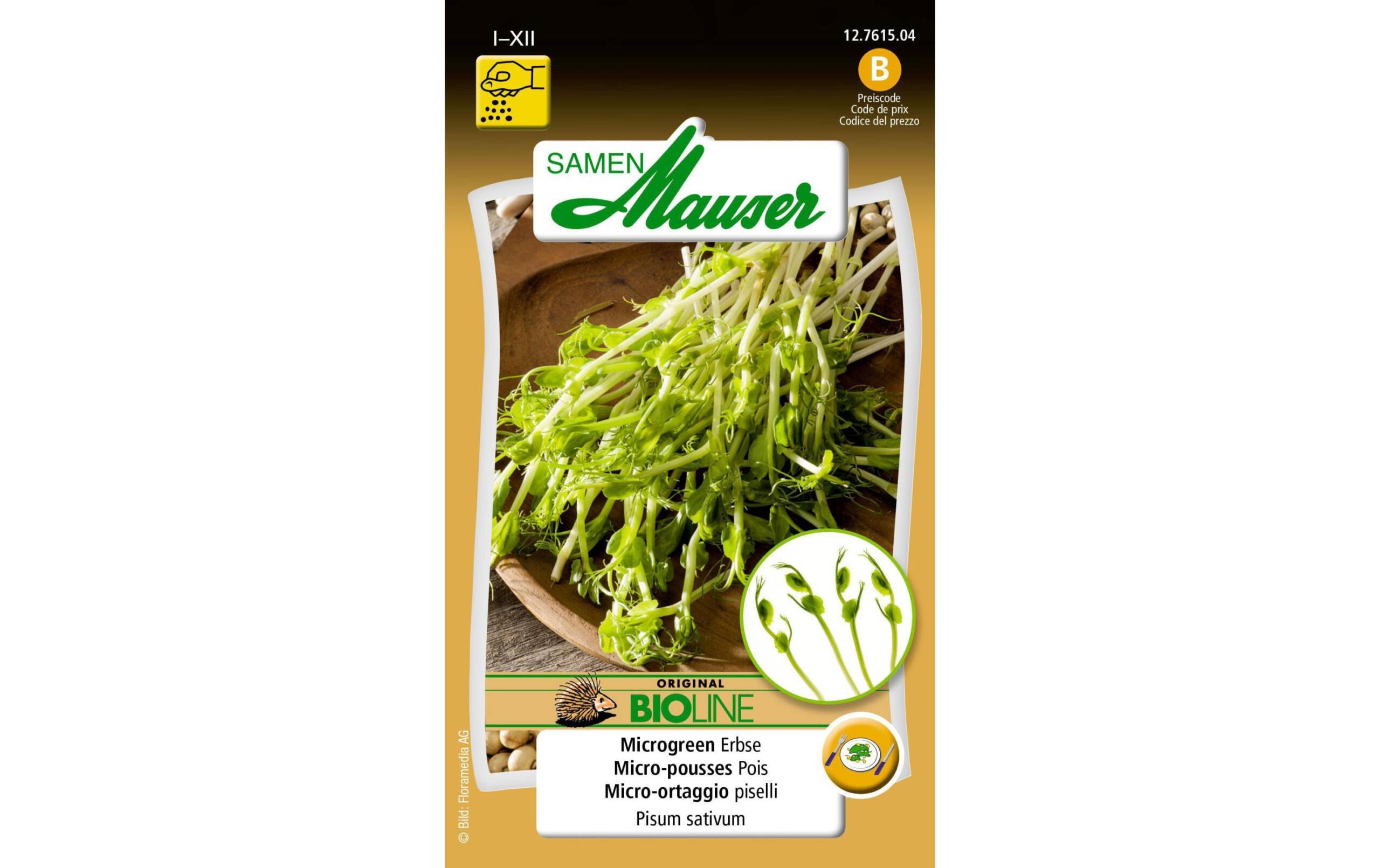 Samen Mauser BIO Microgreen Erbse 20 g Pisum sativum