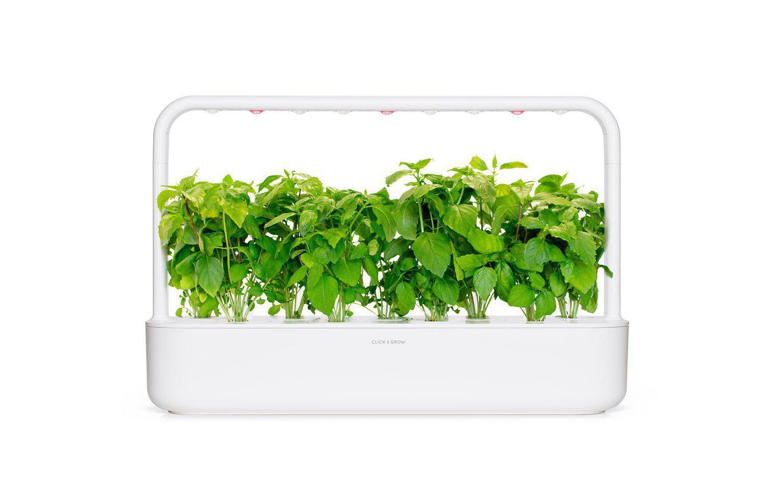 Click and Grow Smart Garden Plant Pod 3-pack, Cinnamon Basil – Bild 3