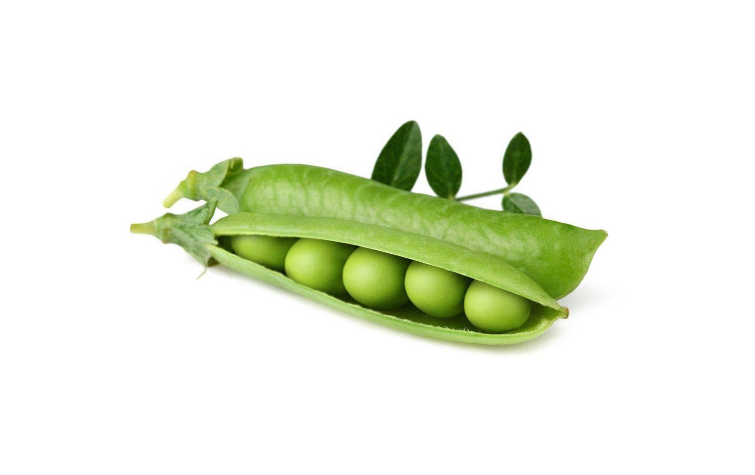 Click and Grow Smart Garden Plant Pod 3-pack, Dwarf Pea – Bild 2