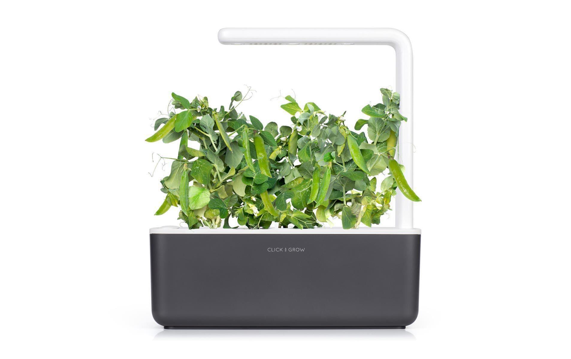 Click and Grow Smart Garden Plant Pod 3-pack, Dwarf Pea – Bild 3