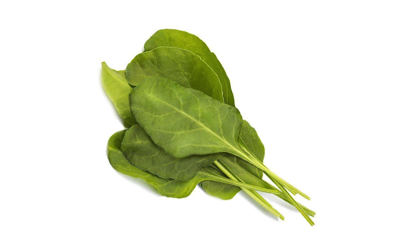 Click and Grow Smart Garden Plant Pod 3-pack, Green Chard