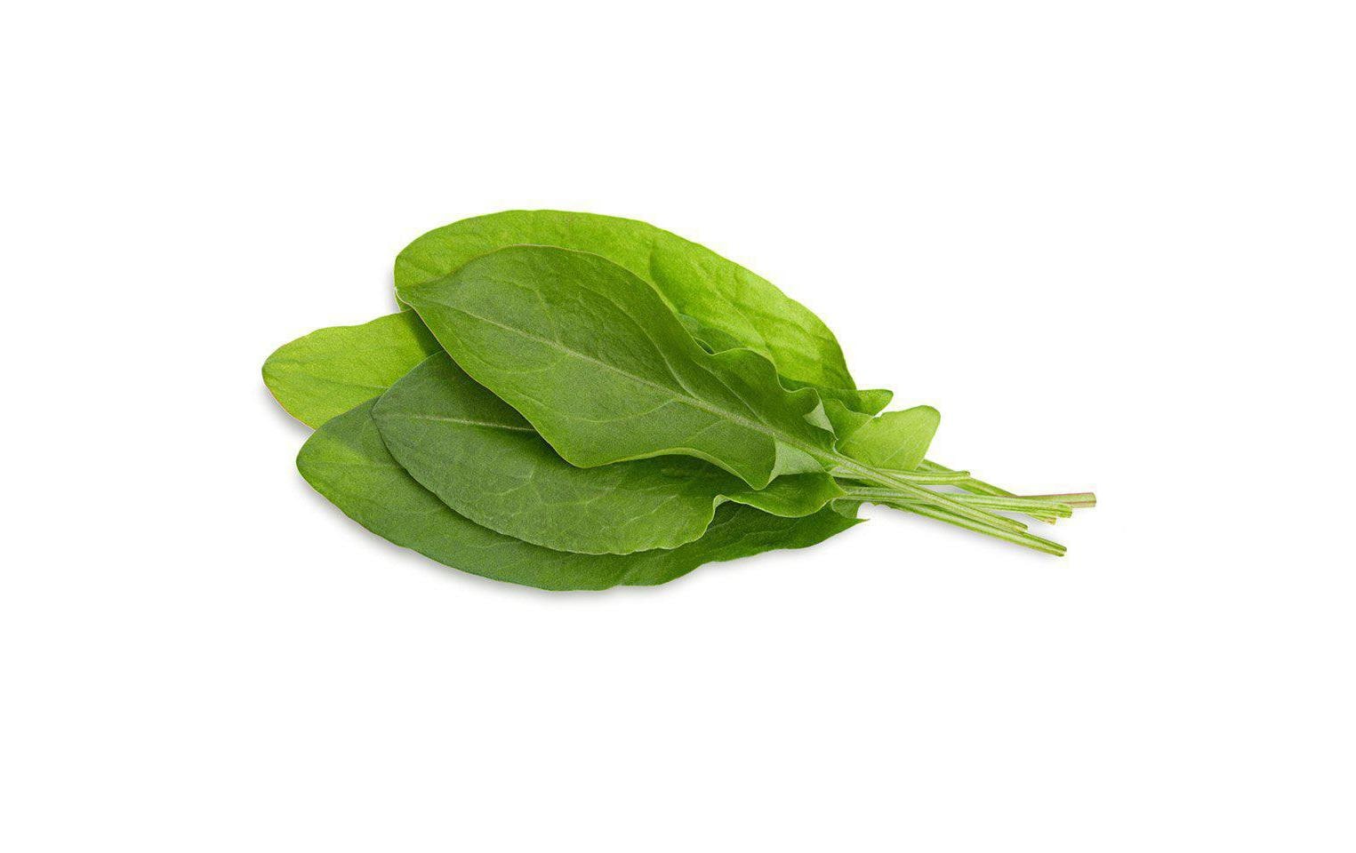 Click and Grow Smart Garden Plant Pod 3-pack, Green Sorrel