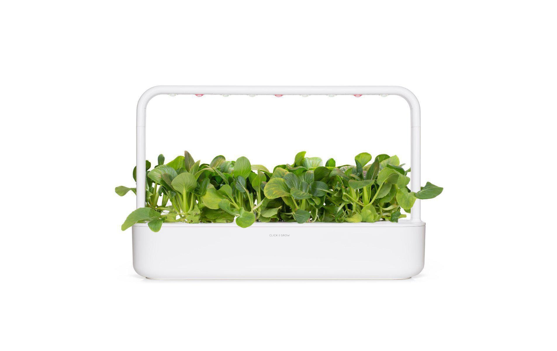 Click and Grow Smart Garden Plant Pod 3-pack, Pak Choi – Bild 3