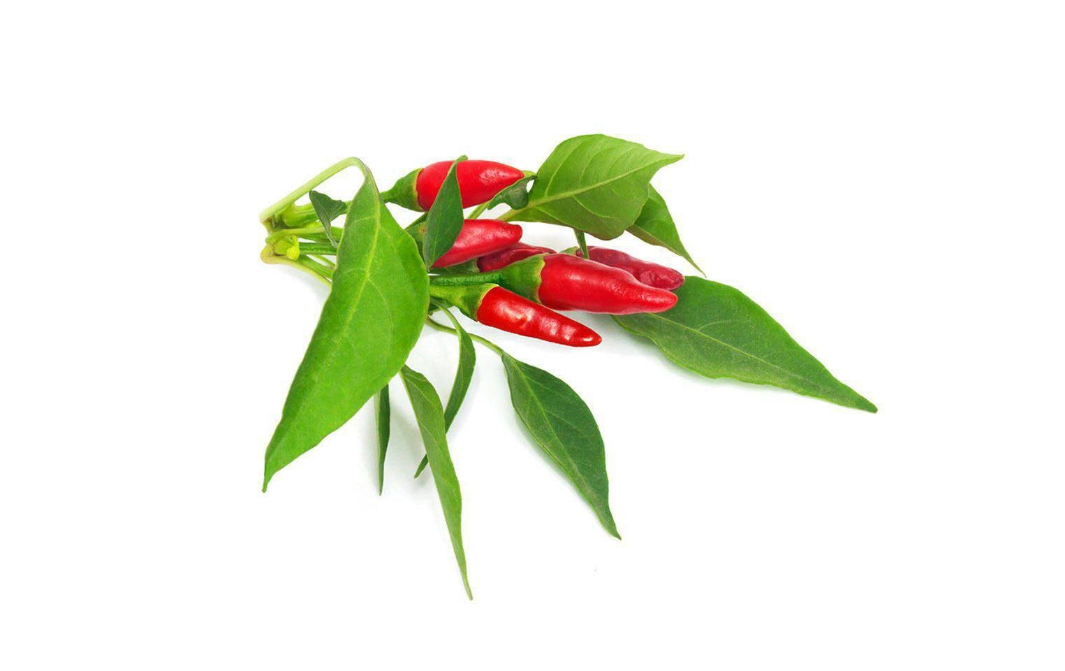 Click and Grow Smart Garden Plant Pod 3-pack, Piri Piri Chili