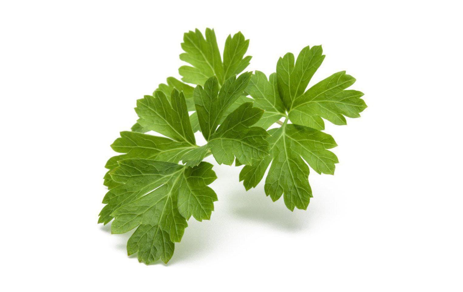 Click and Grow Smart Garden Plant Pod 3-pack, Plain Parsley