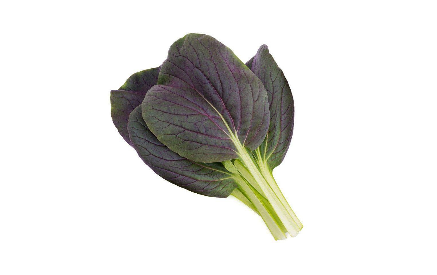 Click and Grow Smart Garden plant pod 3-pack, Red Pak Choi – Bild 2