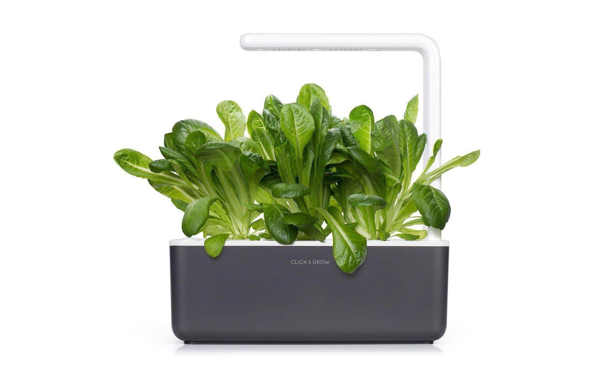 Click and Grow Smart Garden Plant Pod 3-pack, Romaine Lettuce – Bild 3