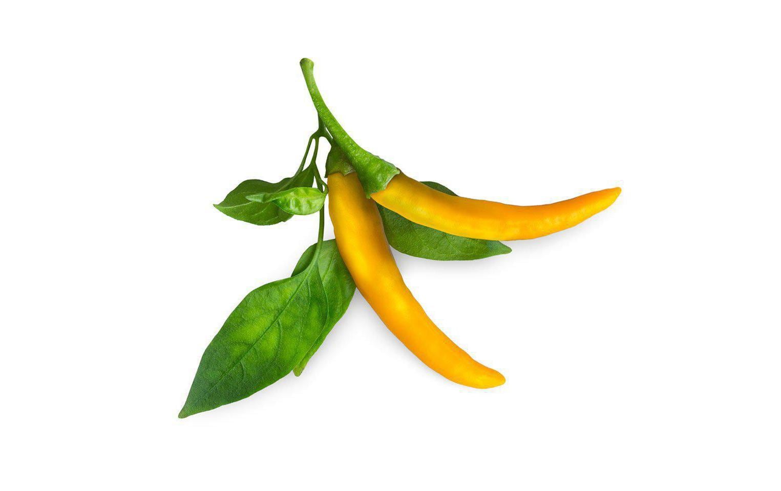 Click and Grow Smart Garden Plant Pod 3-pack, Yellow Chili Pepper