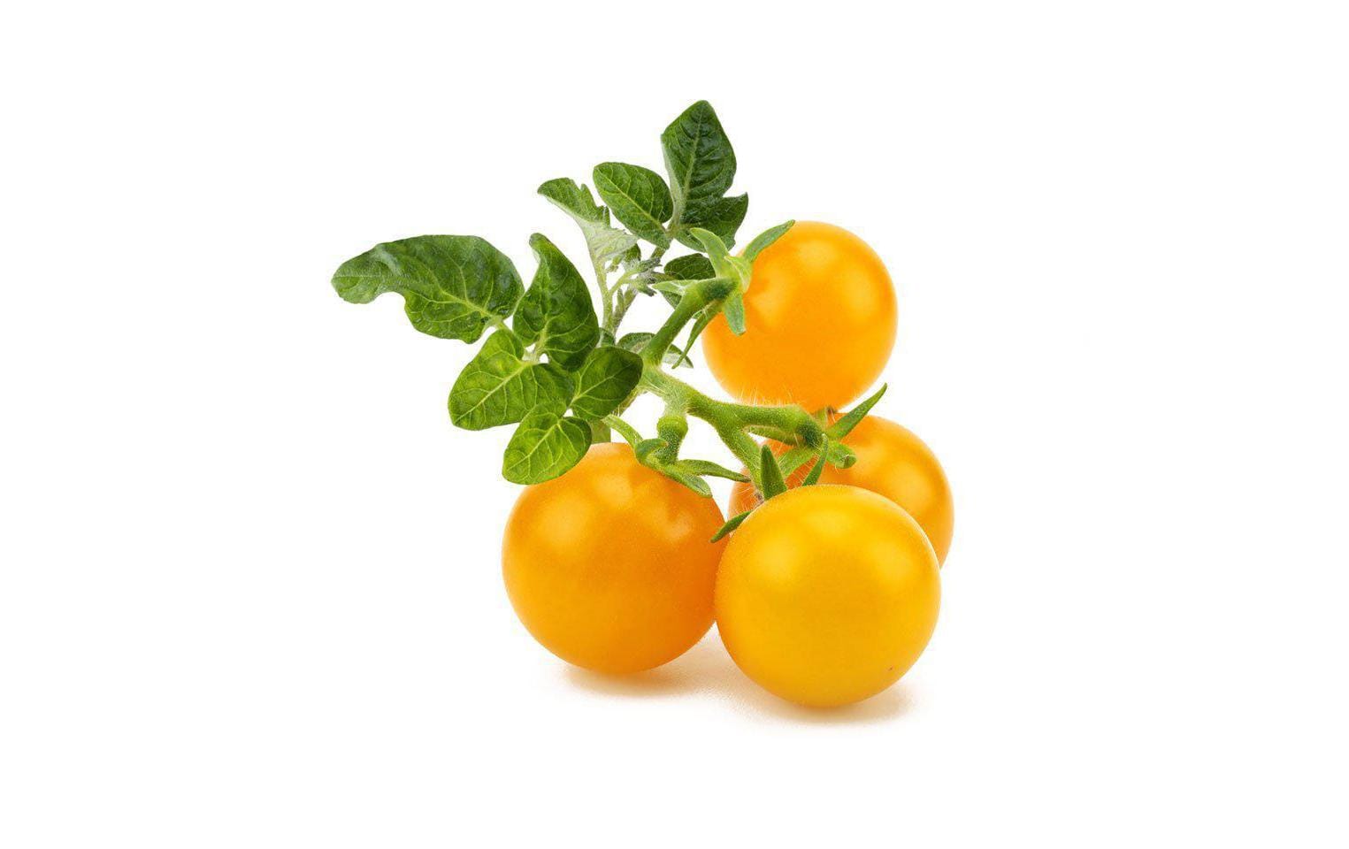 Click and Grow Smart Garden Plant Pod 3-pack, Yellow Tomato